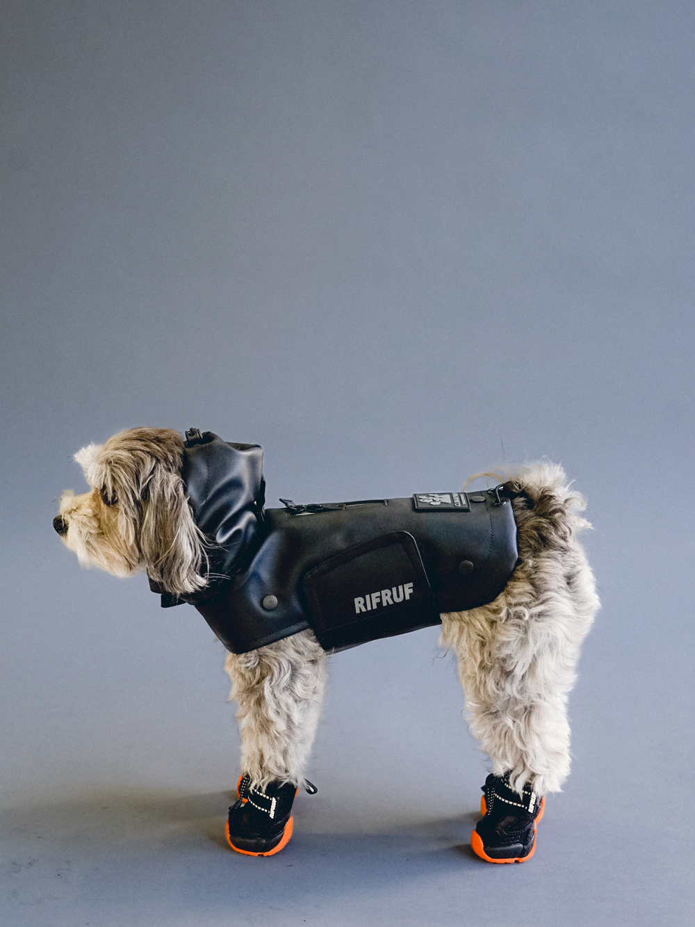 RIFRUF APOLLO 1 犬用靴 サイズ1 (ドッグシューズ) RIFRUF | Apollo 1 Dog Boots