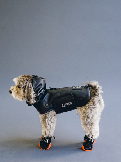 Julius caesar dog harness best sale