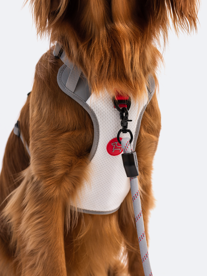 Catwalk Dog Chewy Vuitton Harness  Dog harness, Dog clothes, Dog