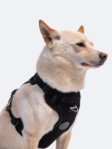 RIFRUF Commuter Harness Walkgear for Dogs