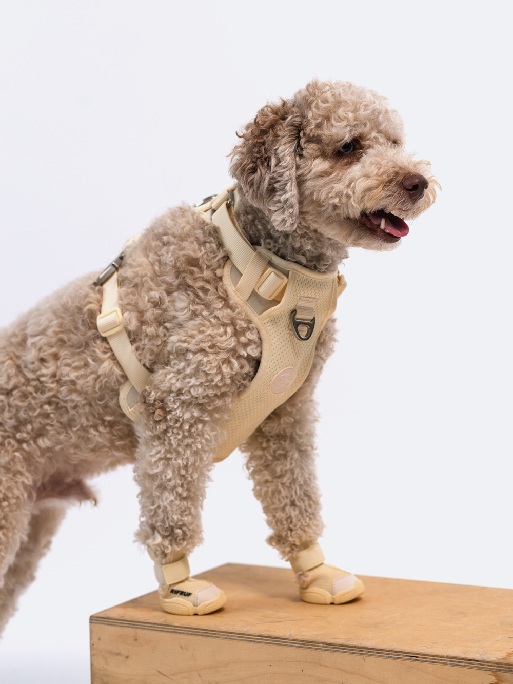 Commuter Harness