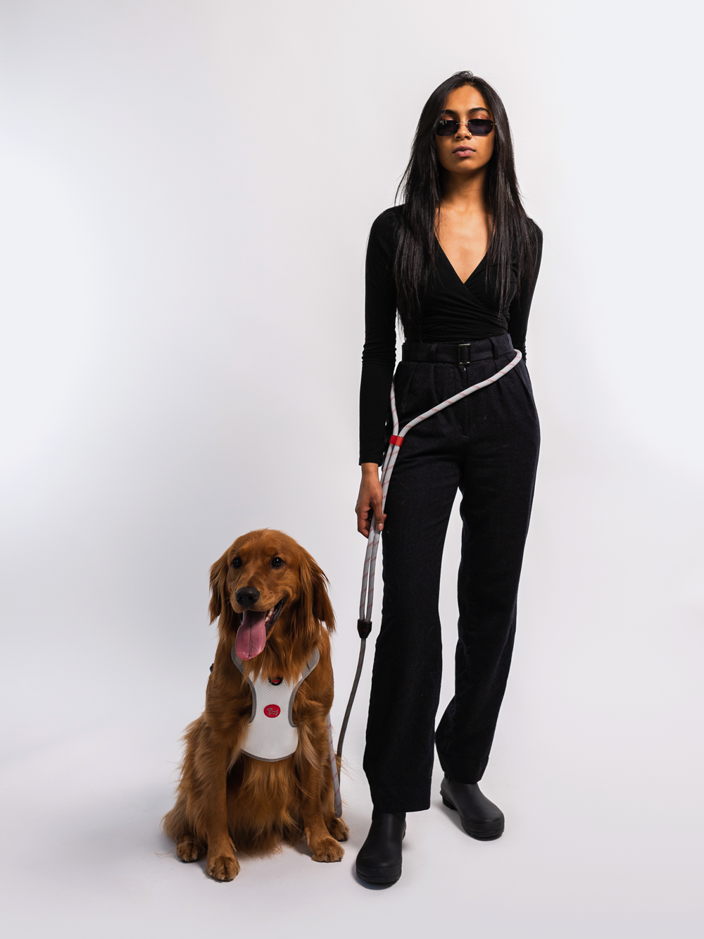 Commuter Harness and Leash Set