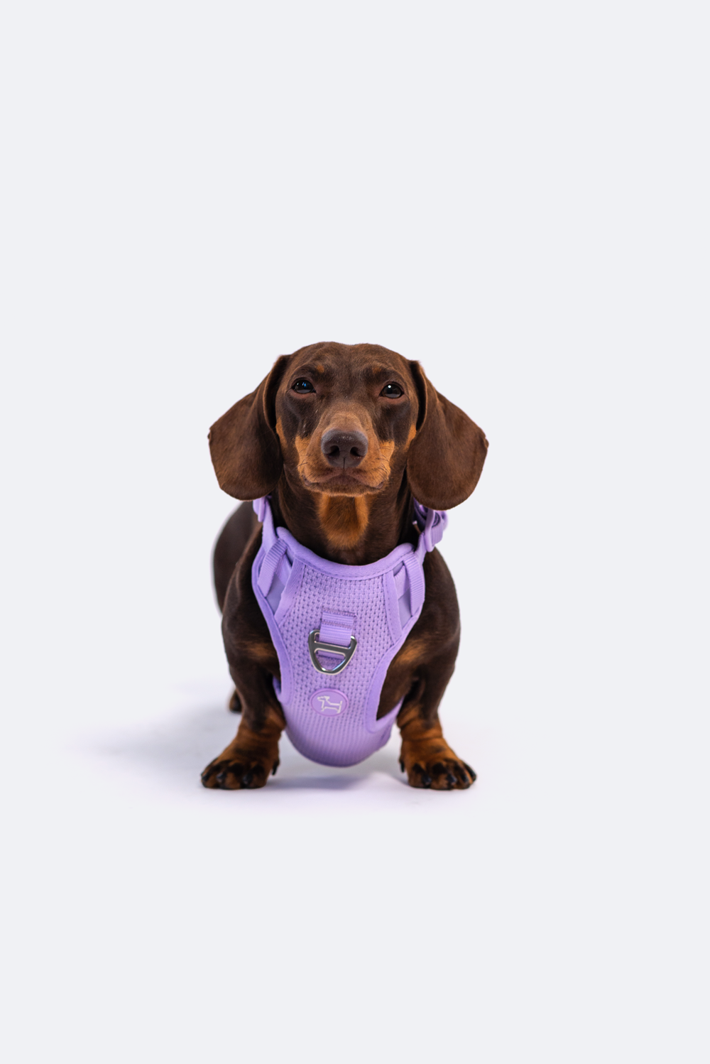 Commuter Harness