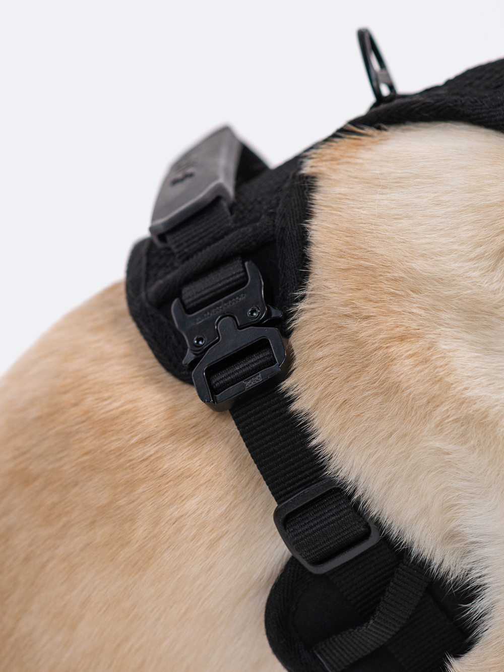Commuter Harness