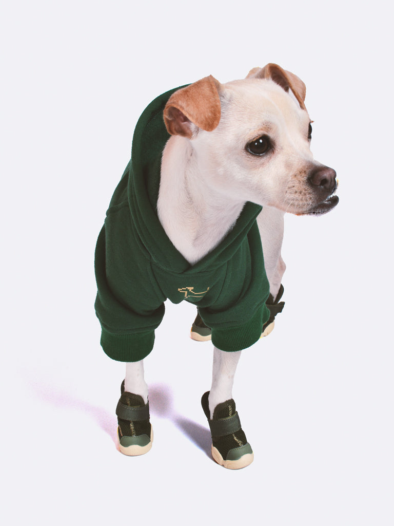 RIFRUF Essential Dog Hoodie Olive With Dog Wearing In Studio