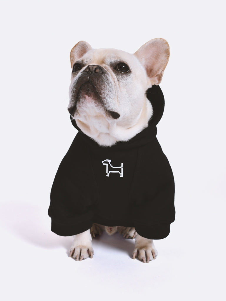 RIFRUF Essential Dog Hoodie Black With Dog Wearing In Studio Front View Sitting