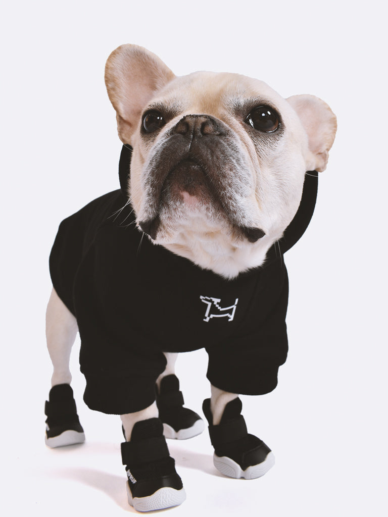 RIFRUF Essential Dog Hoodie Black With Dog Wearing In Studio Front View