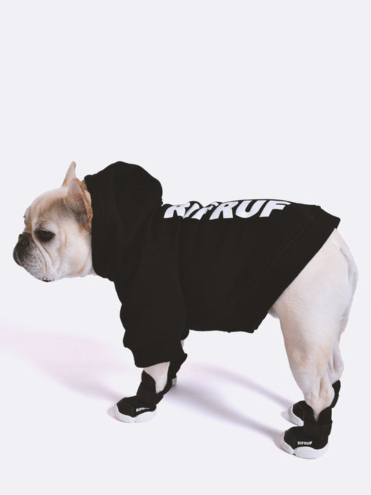 RIFRUF Essential Dog Hoodie Black With Dog Wearing In Studio Side view