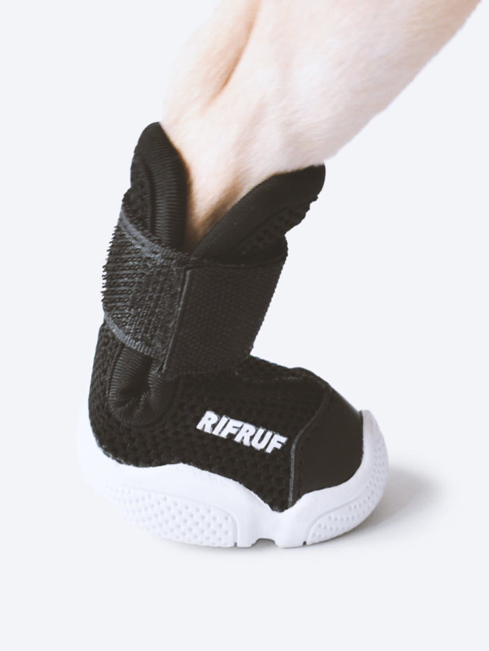 RIFRUF Caesar 1 Black in Paw in Studio