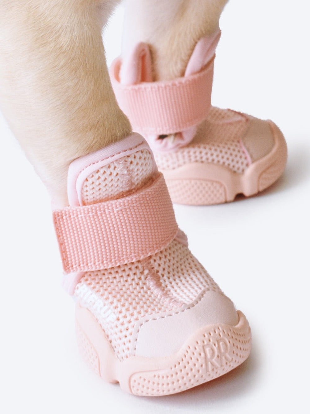 RIFRUF Caesar 1 Blush in Paw in Studio
