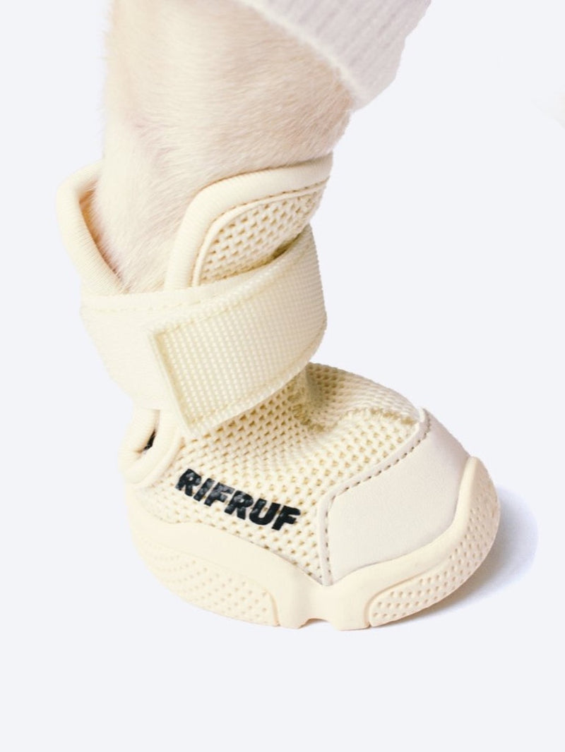 RIFRUF Caesar 1 Bone on Paw in Studio