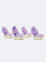 Taro RIFRUF Caesar 1 Dog Shoes Four Pieces in White Studio Background