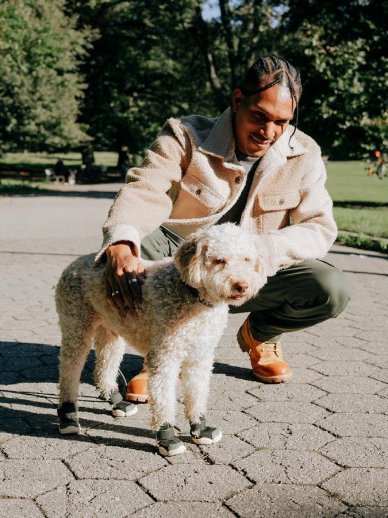 RIFRUF Caesar 1 Birch With Poodle Outside At Park
